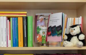 Bokhylla där en figur av professor Kalkyl från Tintin syns